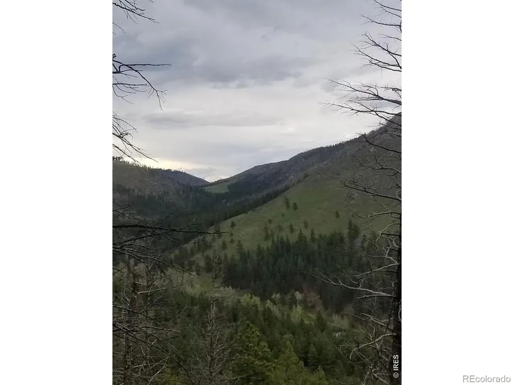 Spiritwood Lane Bellvue CO 80512