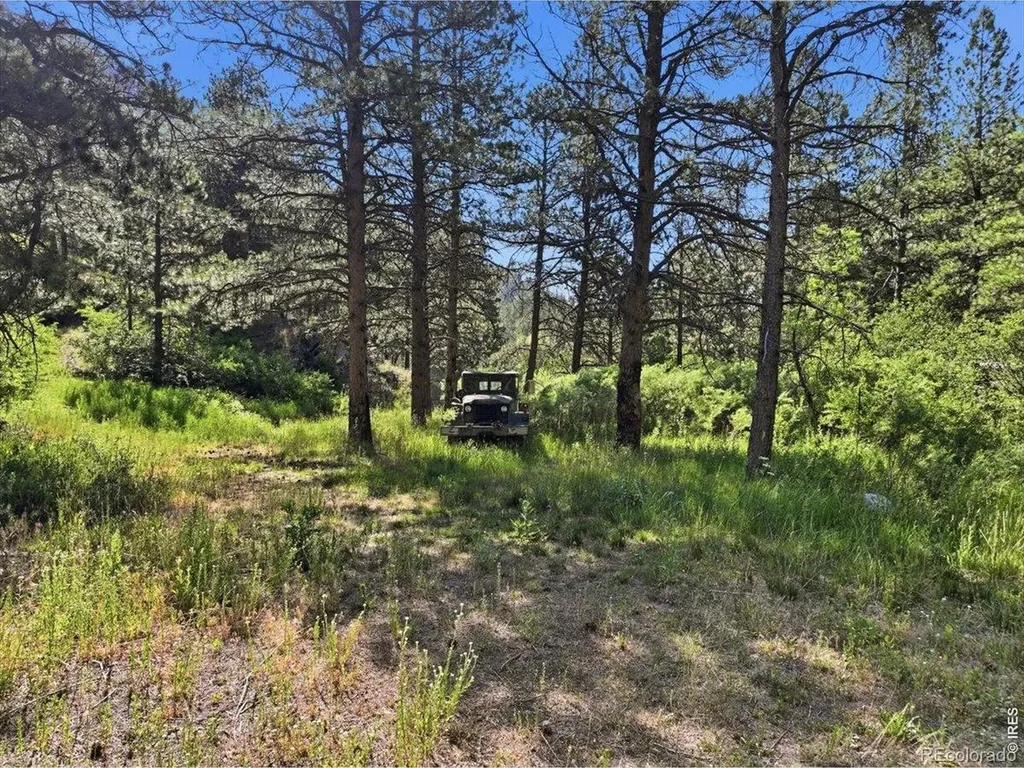 Spiritwood Lane Bellvue CO 80512