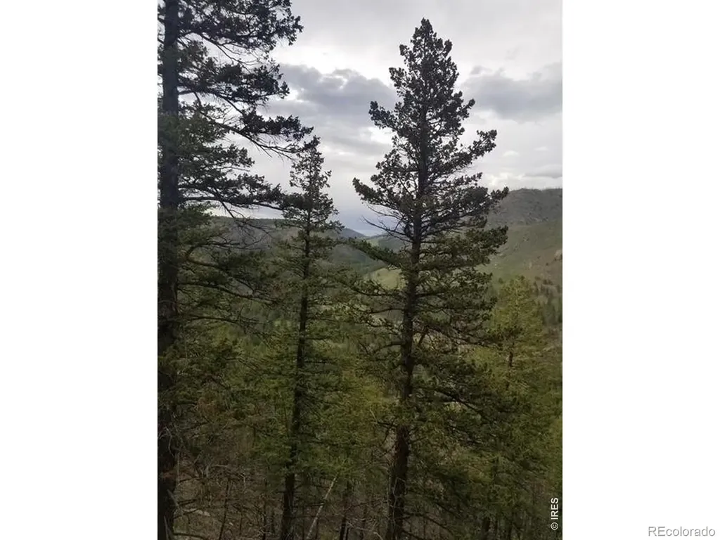 Spiritwood Lane Bellvue CO 80512