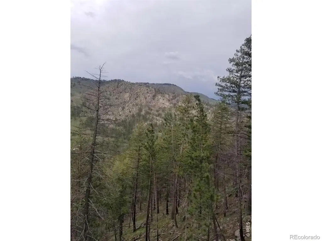 Spiritwood Lane Bellvue CO 80512