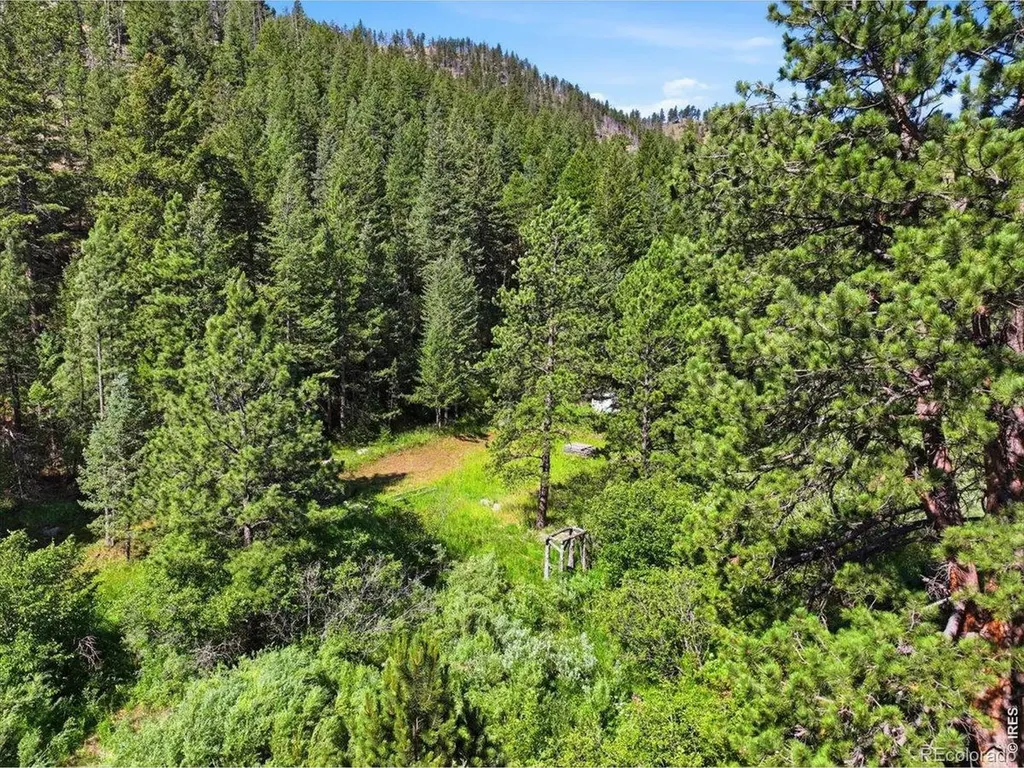 Spiritwood Lane Bellvue CO 80512