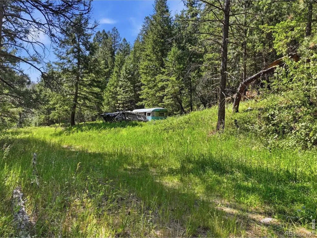 Spiritwood Lane Bellvue CO 80512