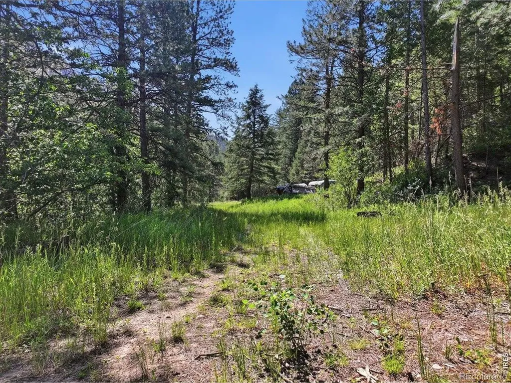 Spiritwood Lane Bellvue CO 80512
