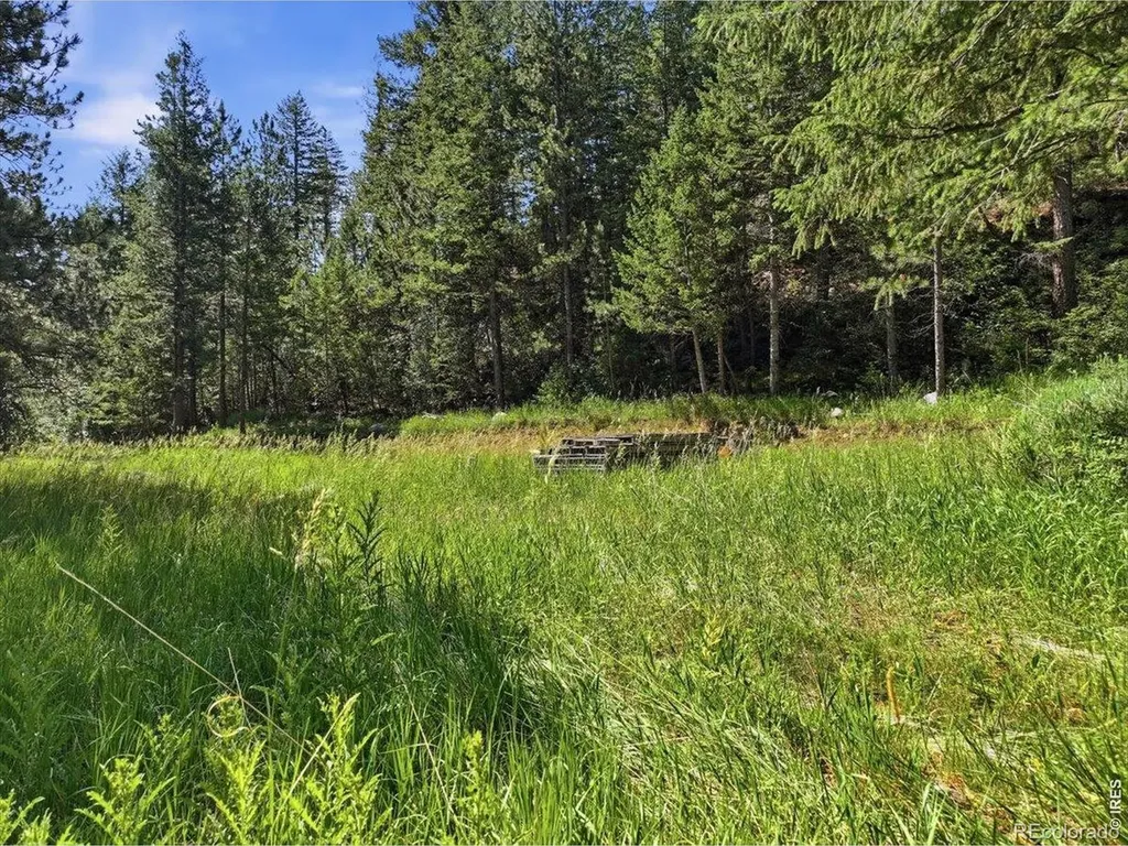 Spiritwood Lane Bellvue CO 80512