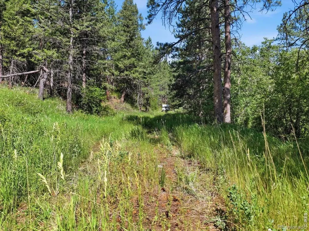 Spiritwood Lane Bellvue CO 80512