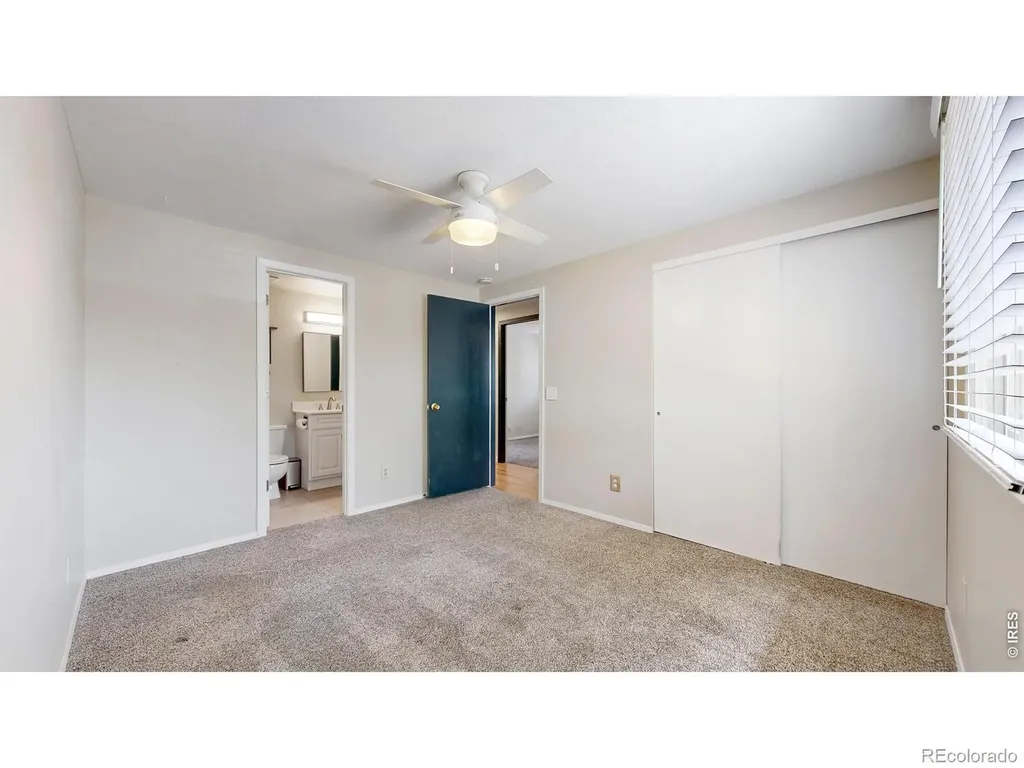 1624 Enfield Street Fort Collins CO 80526