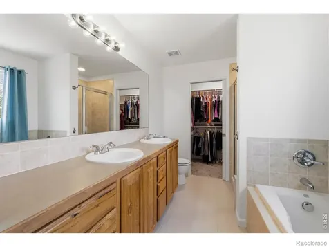 1709 Green River Drive Windsor CO 80550