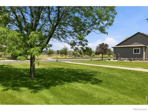 1709 Green River Drive Windsor CO 80550