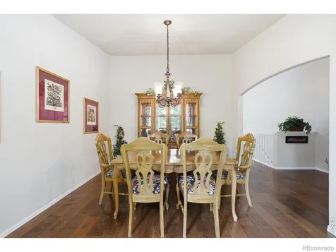 520 Botley Court Windsor CO 80550