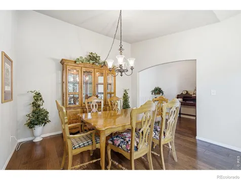 520 Botley Court Windsor CO 80550