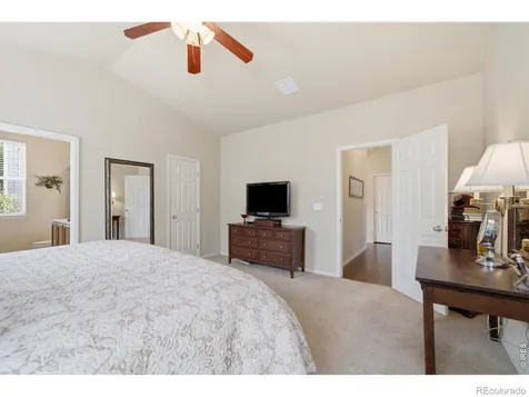 520 Botley Court Windsor CO 80550