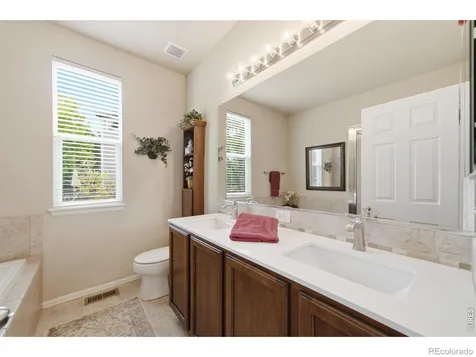 520 Botley Court Windsor CO 80550