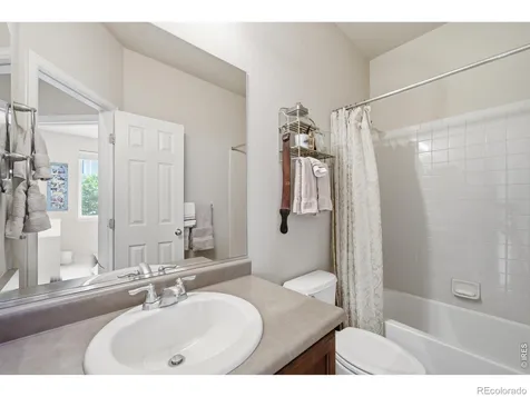520 Botley Court Windsor CO 80550
