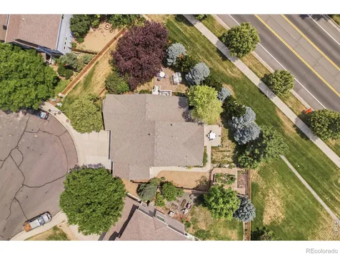 520 Botley Court Windsor CO 80550