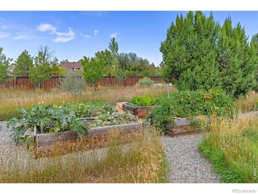 8675 Summerlin Place Longmont CO 80503