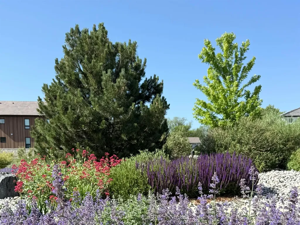 8675 Summerlin Place Longmont CO 80503