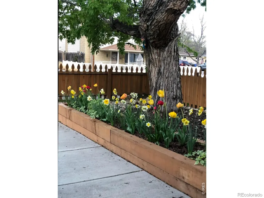 135 S Washington Avenue Loveland CO 80537