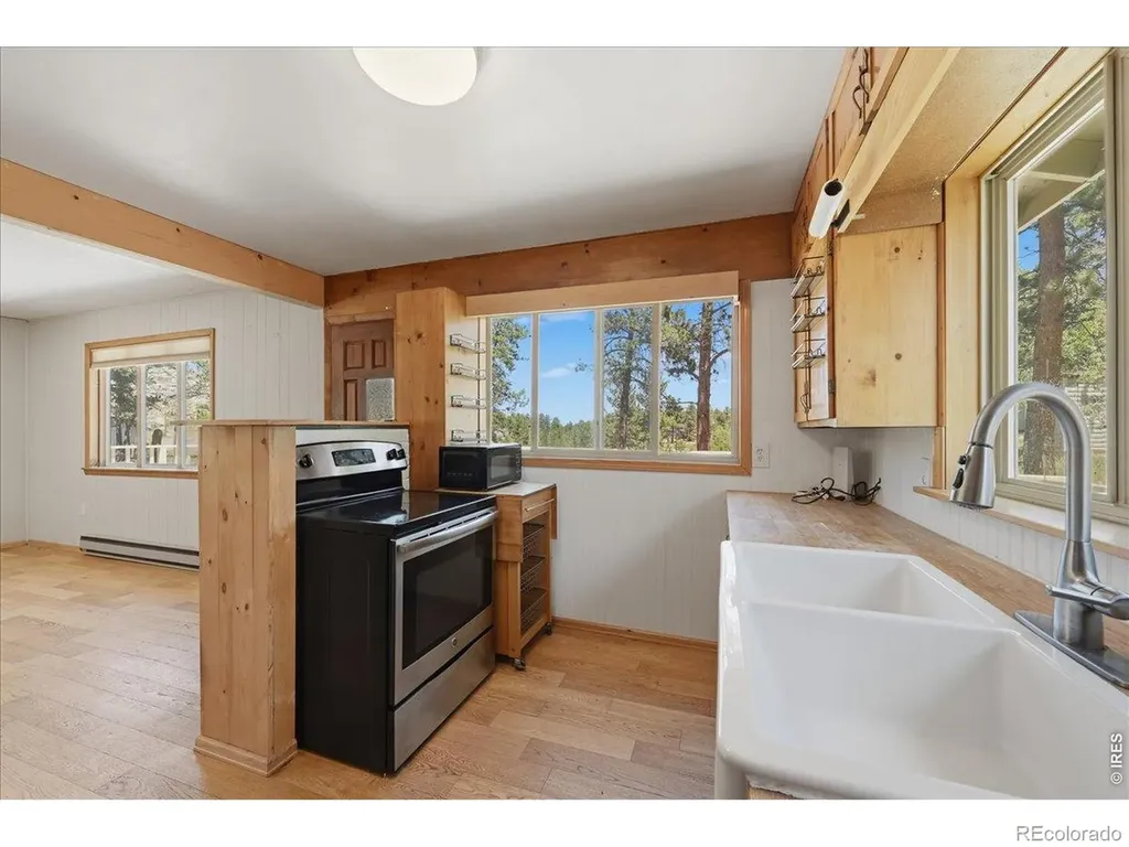 80 Shagwa Drive Red Feather Lakes CO 80545