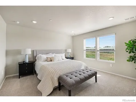 1594 Riverplace Drive Windsor CO 80550