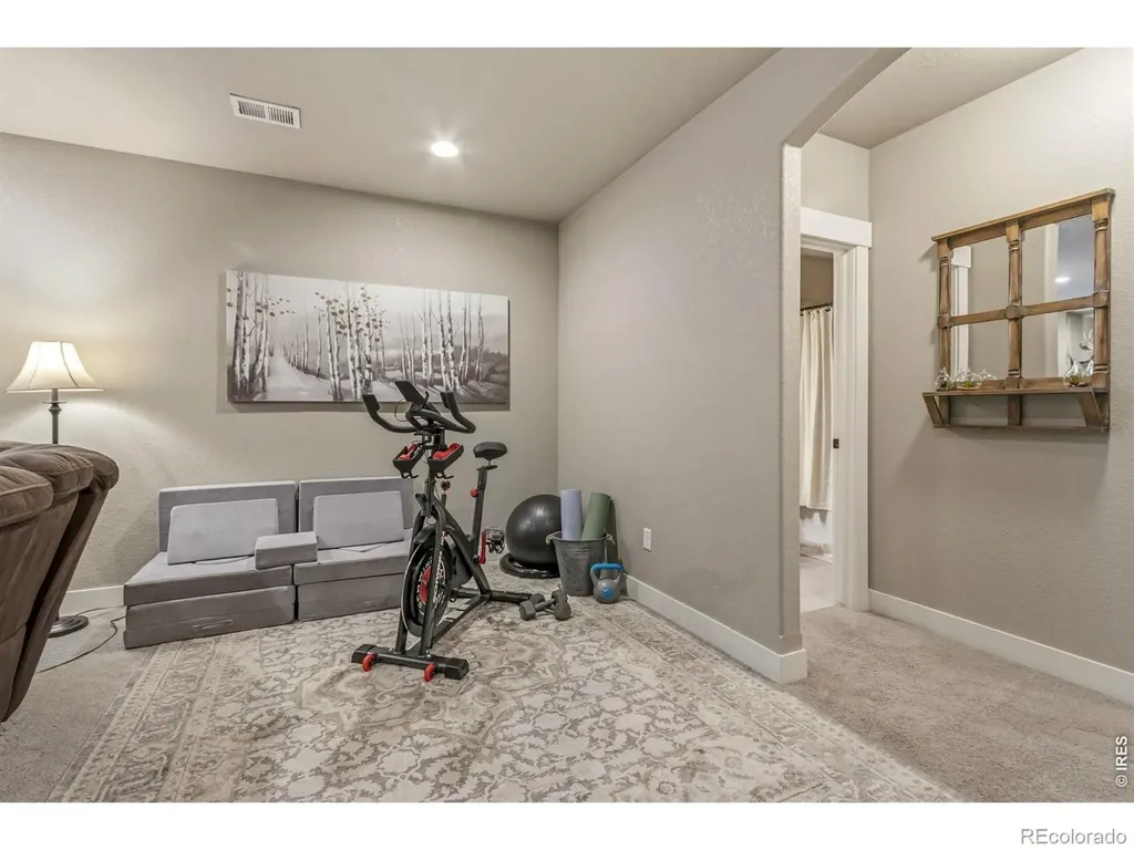 608 Vermilion Peak Drive Windsor CO 80550