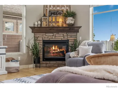 608 Vermilion Peak Drive Windsor CO 80550