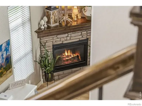 608 Vermilion Peak Drive Windsor CO 80550