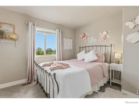 608 Vermilion Peak Drive Windsor CO 80550