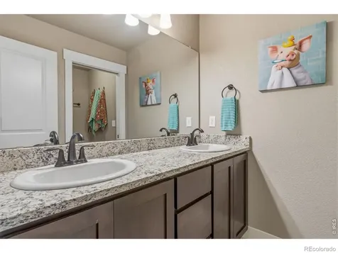 608 Vermilion Peak Drive Windsor CO 80550