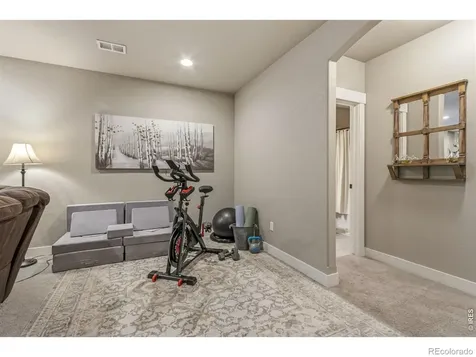 608 Vermilion Peak Drive Windsor CO 80550
