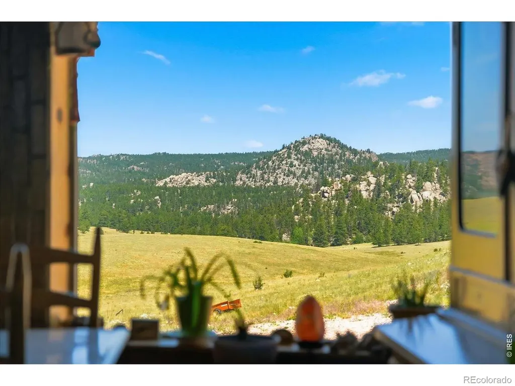 333 White Eagle Way Livermore CO 80536
