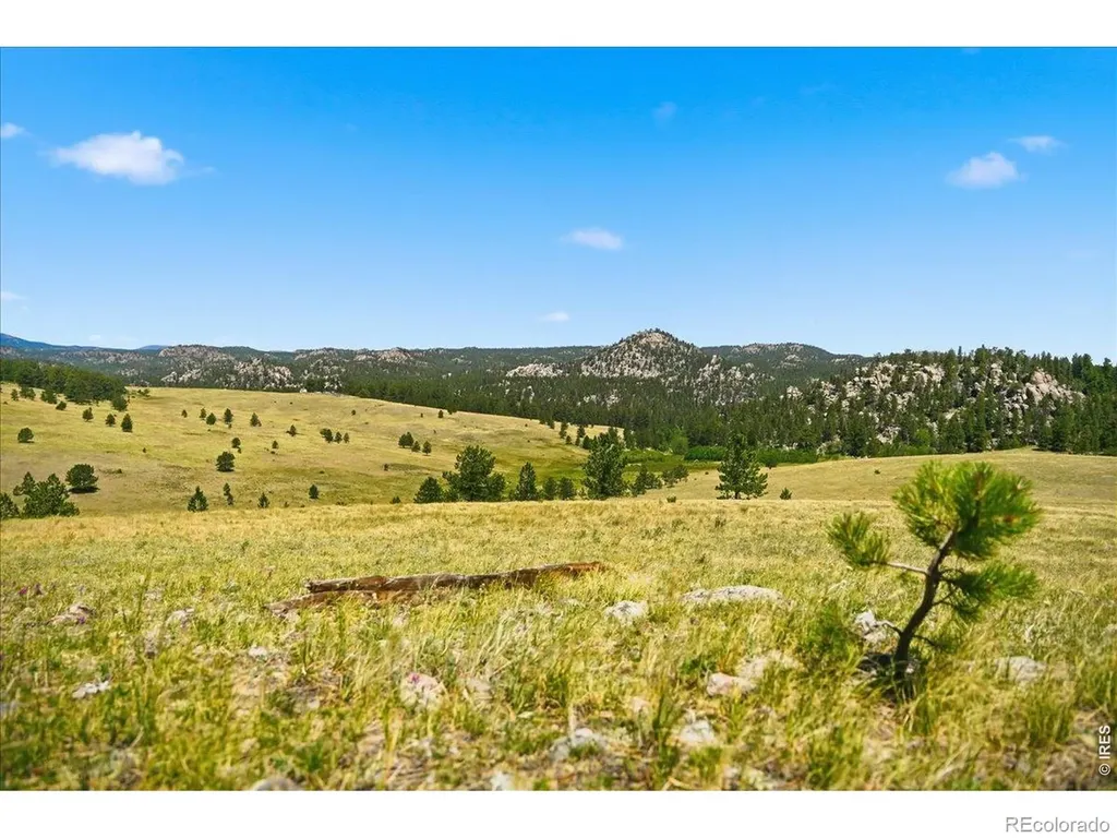 333 White Eagle Way Livermore CO 80536