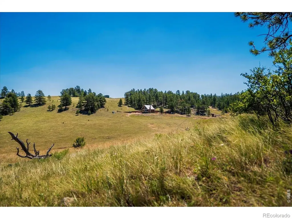 333 White Eagle Way Livermore CO 80536