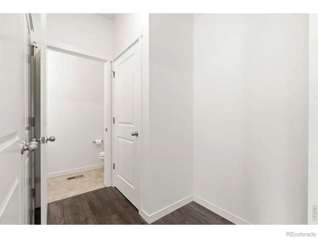 3713 Catmint Street Wellington CO 80549