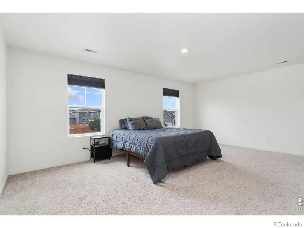 3713 Catmint Street Wellington CO 80549