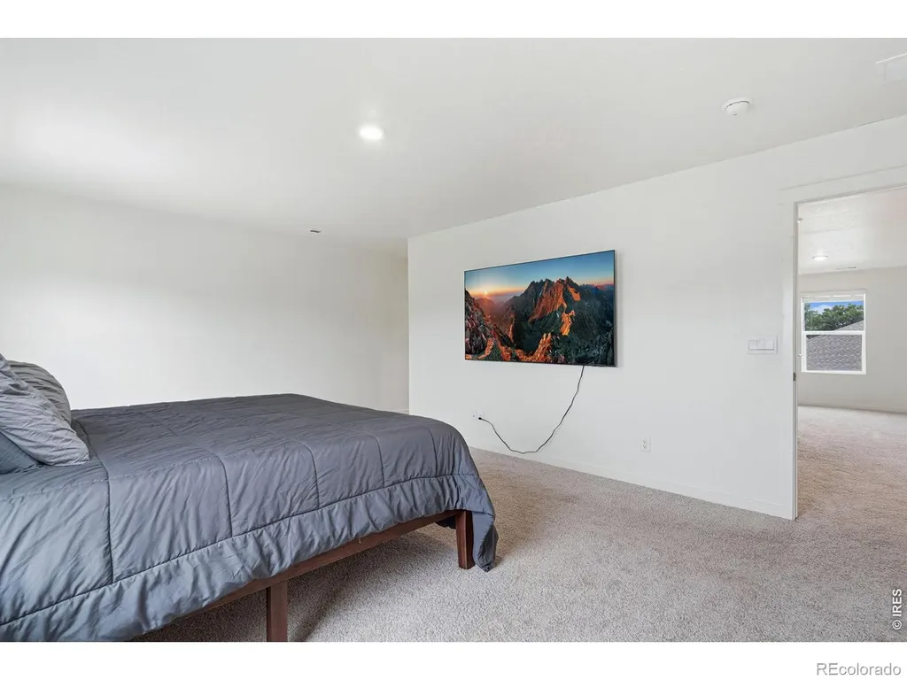 3713 Catmint Street Wellington CO 80549