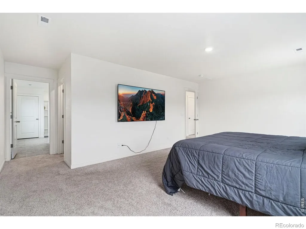 3713 Catmint Street Wellington CO 80549