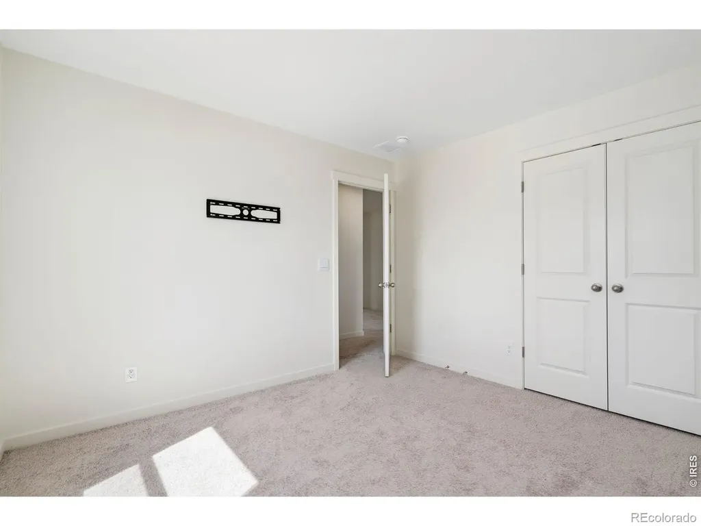 3713 Catmint Street Wellington CO 80549