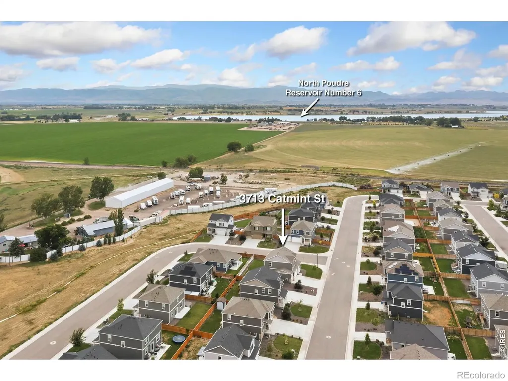 3713 Catmint Street Wellington CO 80549
