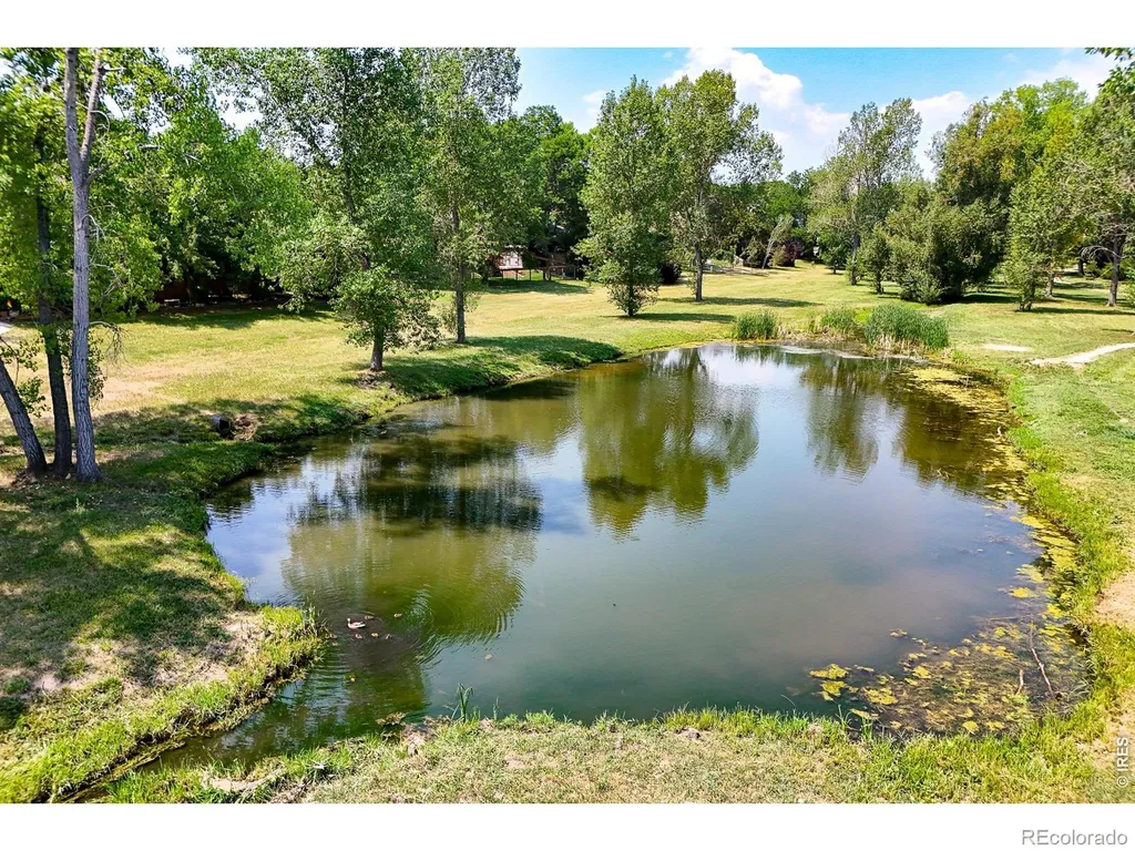 3300 Carlton Avenue Fort Collins CO 80525
