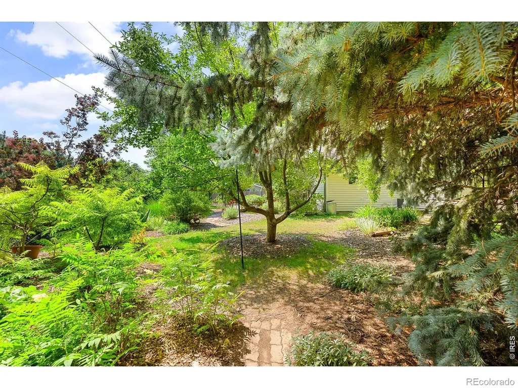3300 Carlton Avenue Fort Collins CO 80525