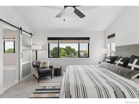 647 Red Jewel Drive Windsor CO 80550