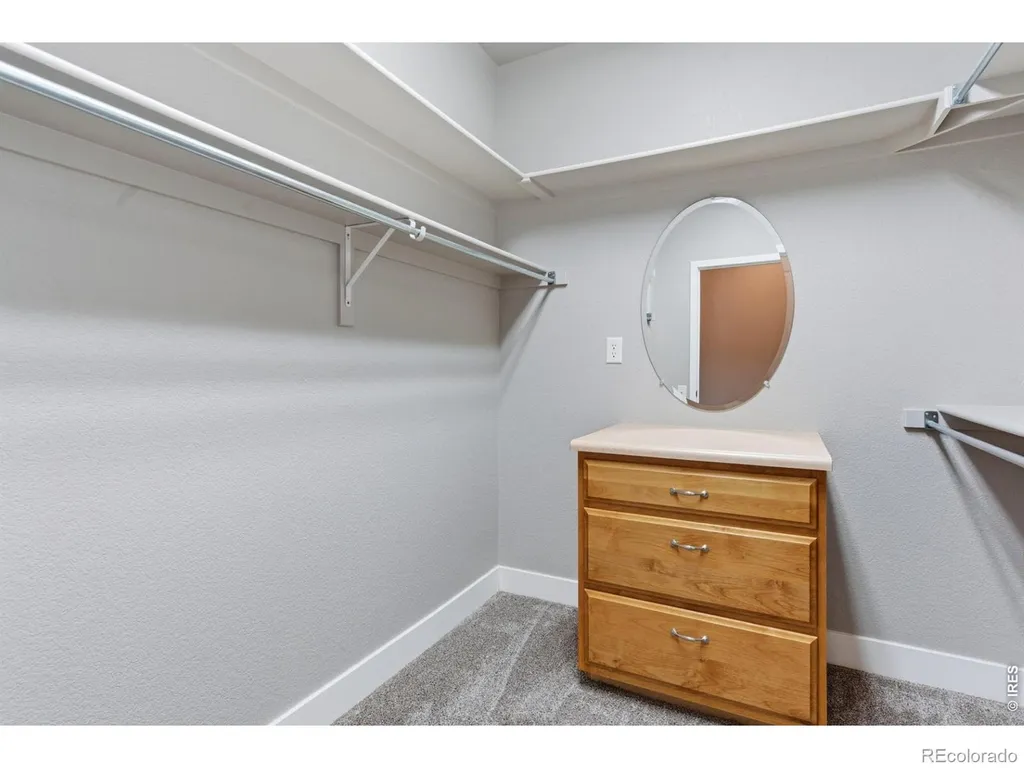 4101 Crittenton Lane Wellington CO 80549