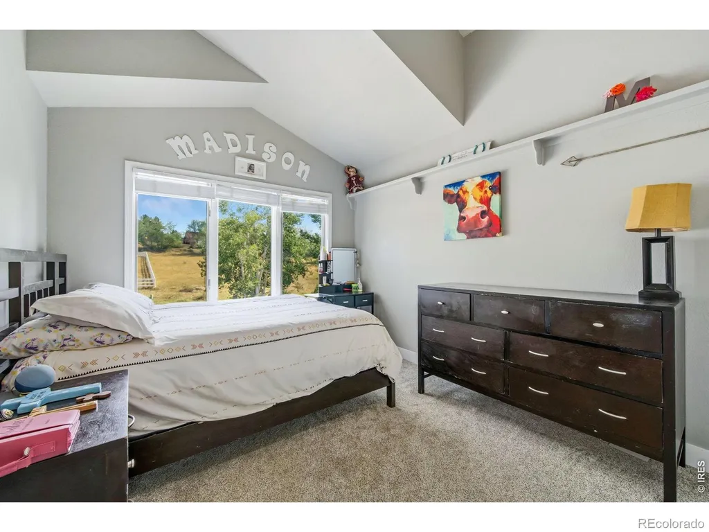 5620 Wild Plum Drive Loveland CO 80537