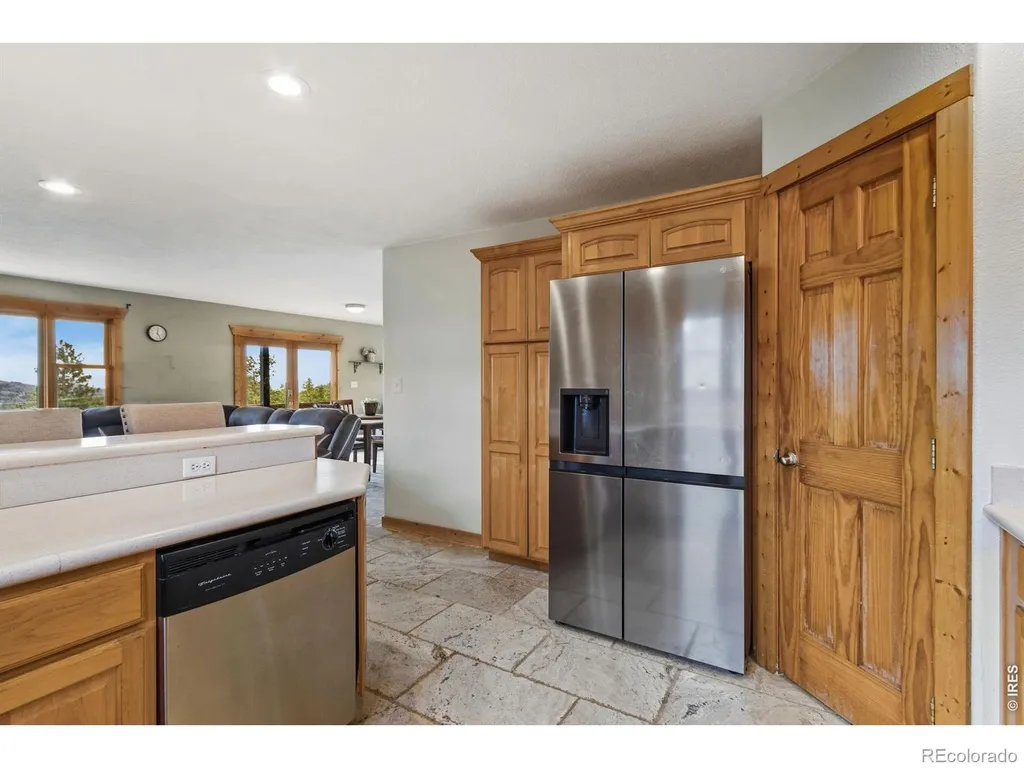 569 Gordon Court Livermore CO 80536