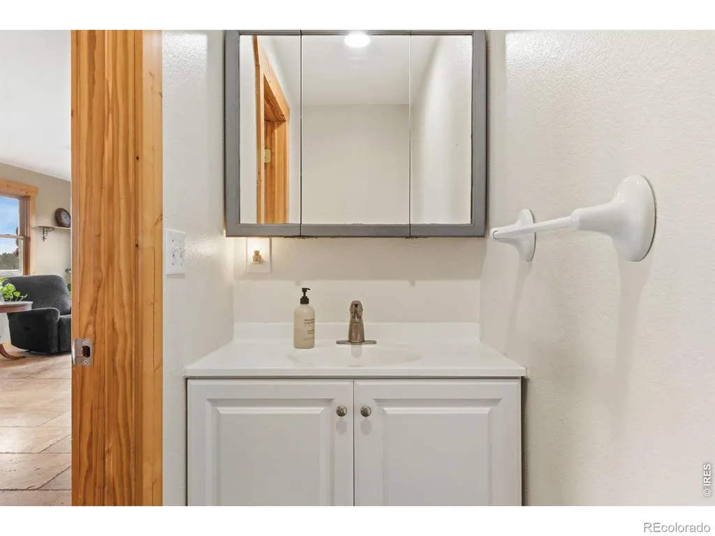 569 Gordon Court Livermore CO 80536