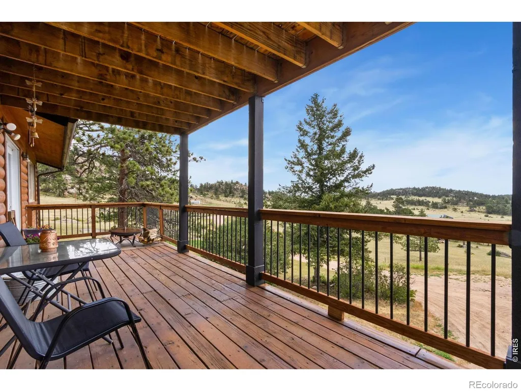 569 Gordon Court Livermore CO 80536