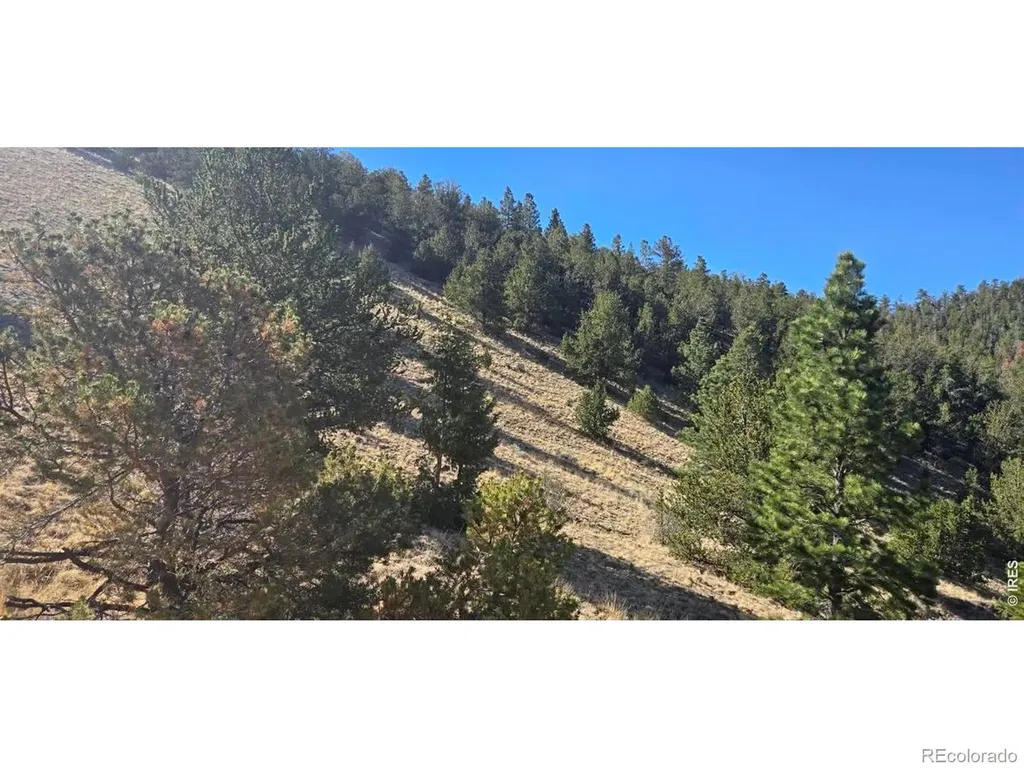 0 County Road 41g (Camero Road) Center CO 81125