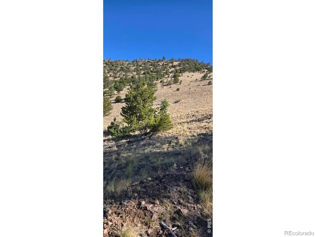 0 County Road 41g (Camero Road) Center CO 81125