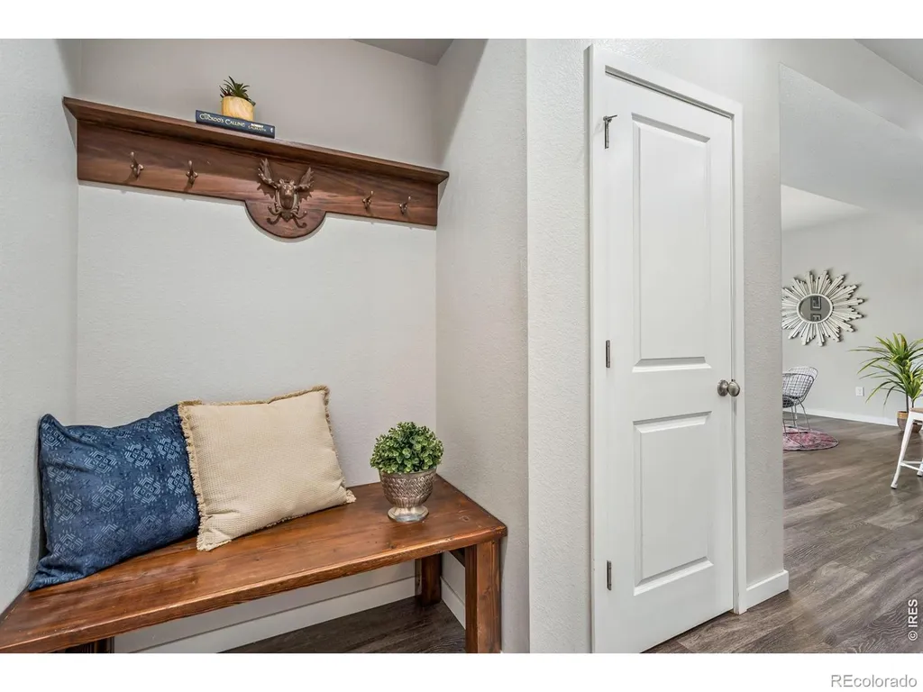 3787 River Birch Street Wellington CO 80549