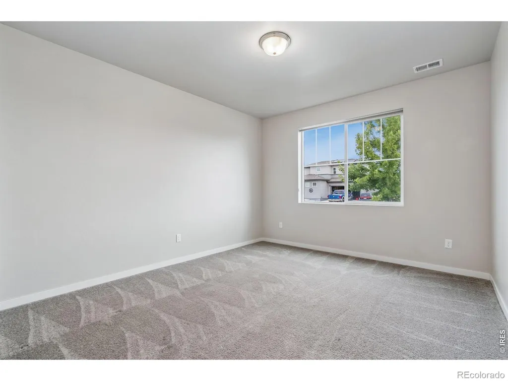 3787 River Birch Street Wellington CO 80549